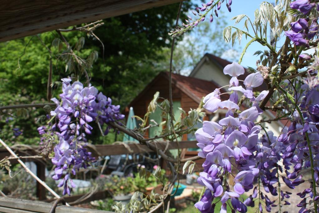River Cottage Balledent Ngoại thất bức ảnh